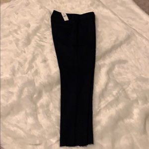 Ann Taylor Navy Blue Skinny Pants